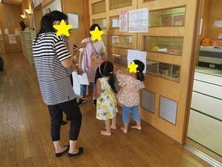 13とんぼ.jpg