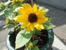 DSCN7169.JPG