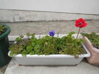 DSCN8381.JPG