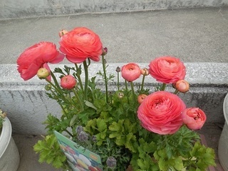 DSCN8394.JPG