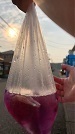 太陽に透ける色水.JPG