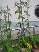 IMG_0048.JPG